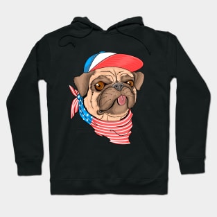 Pug dog usa flag Hoodie